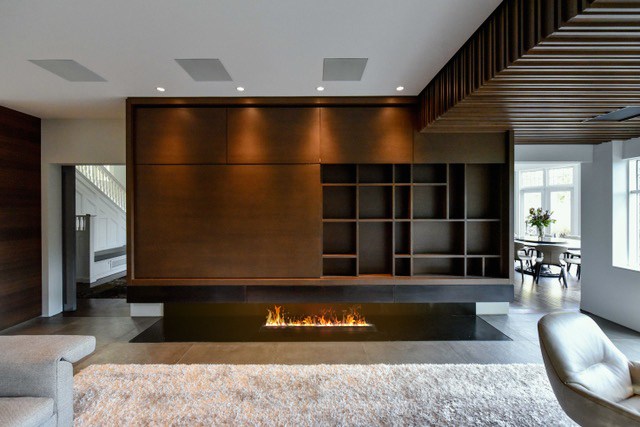 Custom Linear Drop-In - Vapor-Fire
